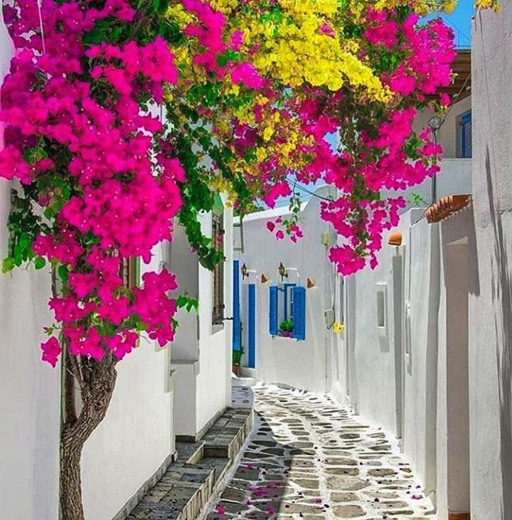 Melina'S House Mykonos Town Apartman Kültér fotó